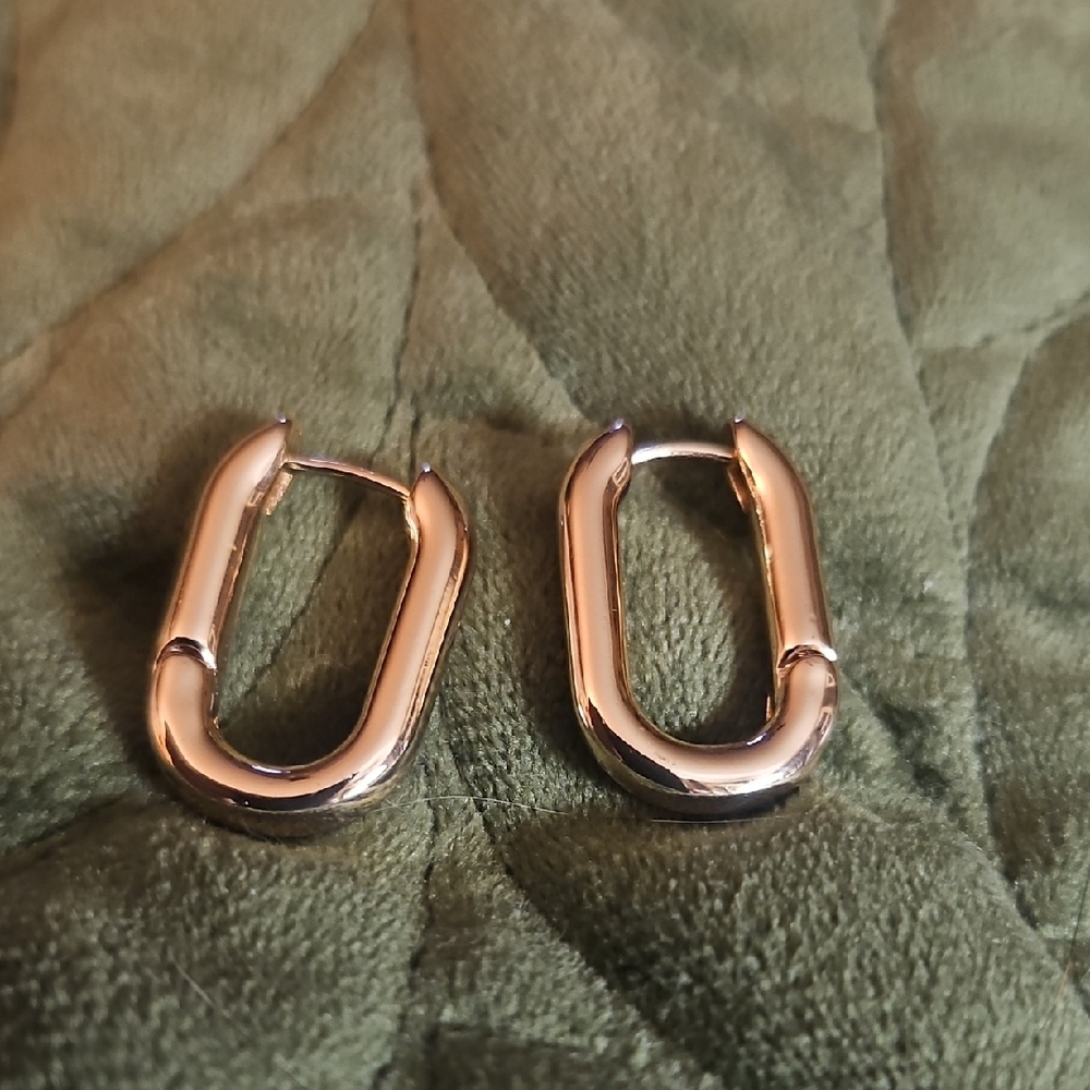 Gold Hoop Earrings
